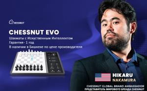 Chessnut EVO