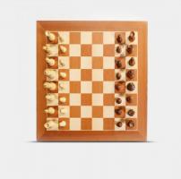 Chessnut PRO